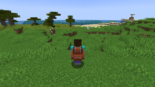 Shopisticated Bagpacks