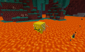 08