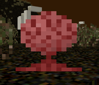 Lung