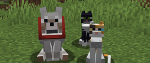 Fresh Animations