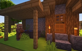 Village