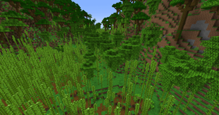 bamboo.png