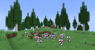 poplars.png