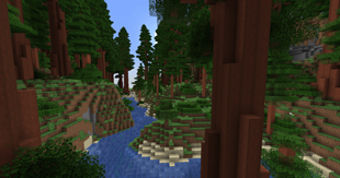 redwoods.png
