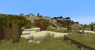 savanna4.png