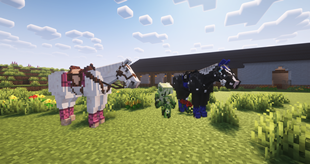 Horses