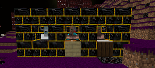 Villager Types