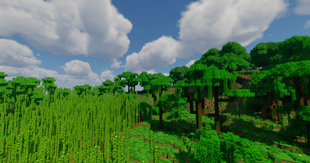 DWV_jungle_sc.png