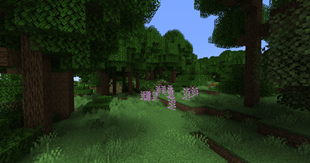 DWV_forest.png
