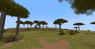 savanna.png