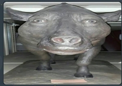 72d6e7c5806629d58b425d011ec7242b.jpg