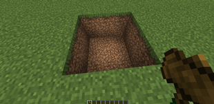 11.png