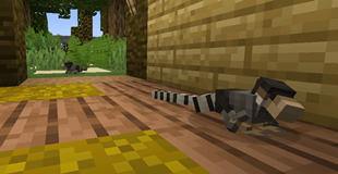 Screenshot 2025-07-06 213047.png