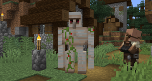 RedIronGolemFlowers.png