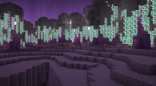 Violet Forest