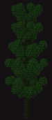 Calamites Tree