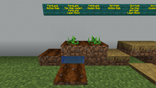 FarmLand Blocks