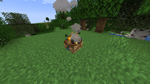 rotten flesh to leather campfire.png
