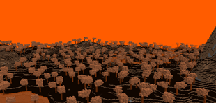 Fire Biome