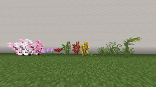 Plants