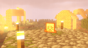 village