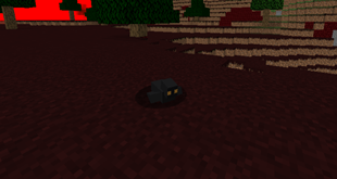 Crow