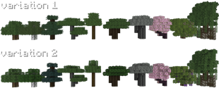 variation