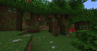 dark forest
