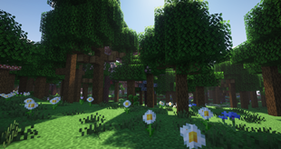 Flower Forest
