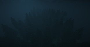 The Forest