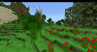 Screenshot 13