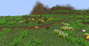 biome 5.png