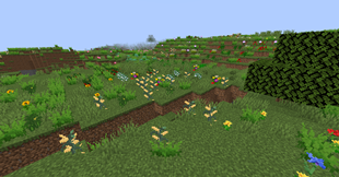 biome 4.png