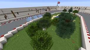 Circle race