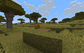 Banner.png