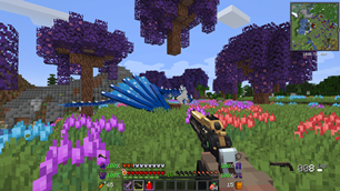 First Person Gameplay