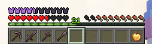 Purple Armor Bar
