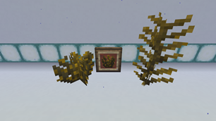 Rockweed
