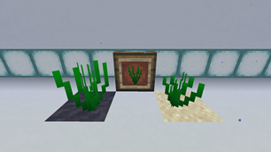 Eelgrass