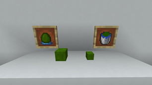 Moss Balls
