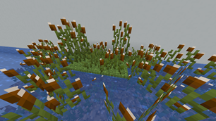 Cattails