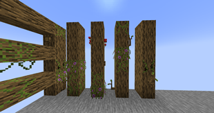 2025-07-13_22.27.50.png