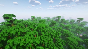 Jungle