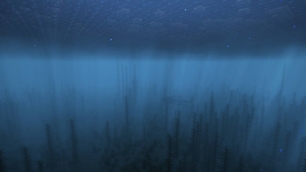 The Deep Sea