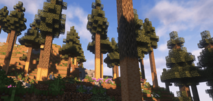 Screenshot 2025-07-15 132454.png