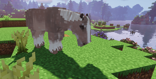 Screenshot 2025-07-15 134343.png