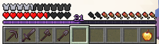Purple Expierence Bar