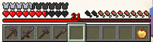 Red Expierence Bar
