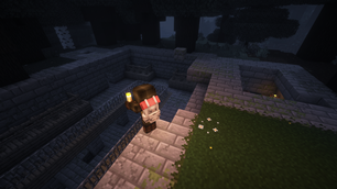 Exploration