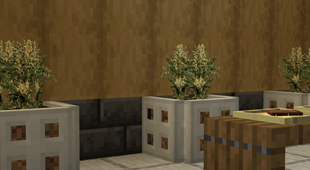 potted weed plants